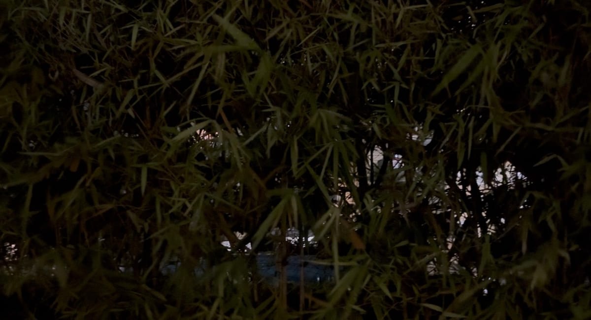 Every leaf had a leaf to hit